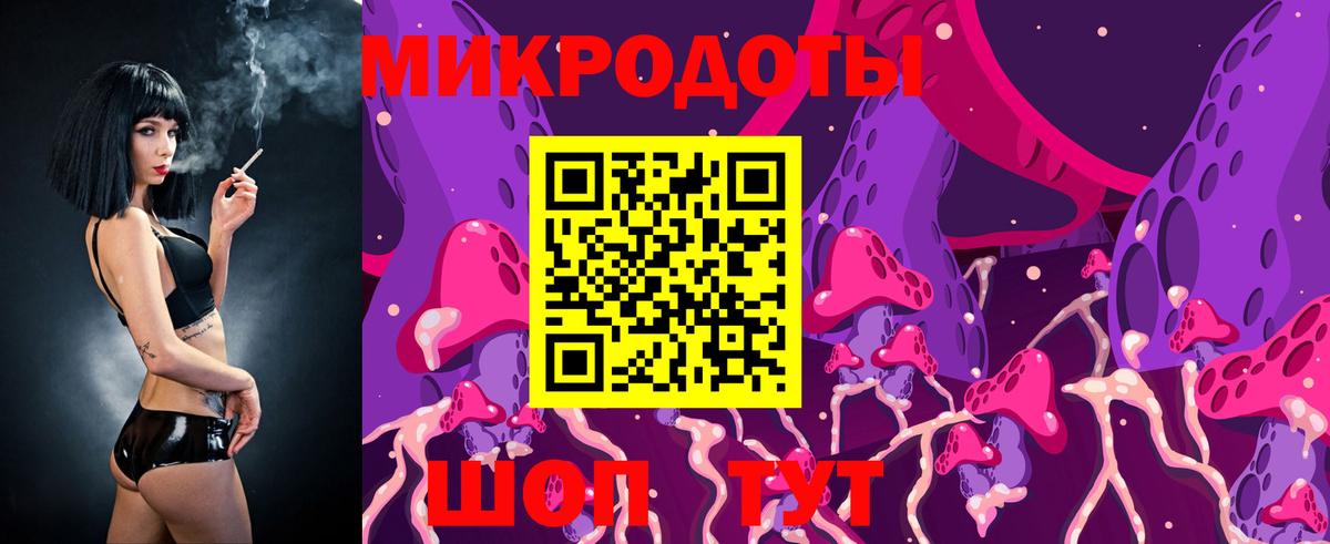 Псилоцибиновые грибы Psilocybe Краснокаменск