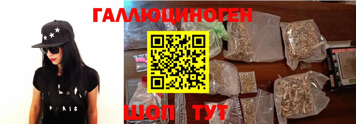 Краснокаменск  Псилоцибиновые грибы Cubensis  Псилоцибиновые грибы Cubensis  Вход с VPN 